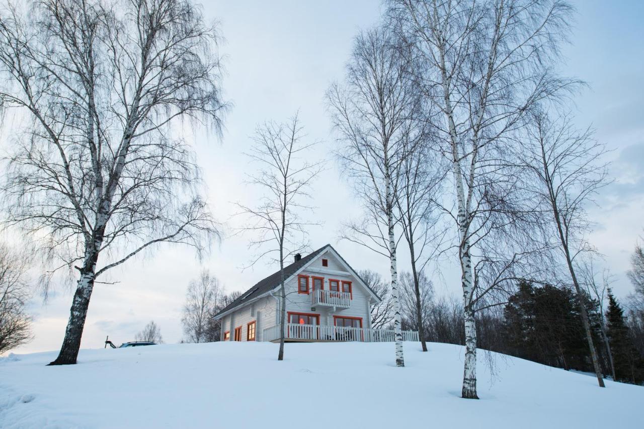 Vasekoja Holiday Center Vahtseliina Екстер'єр фото