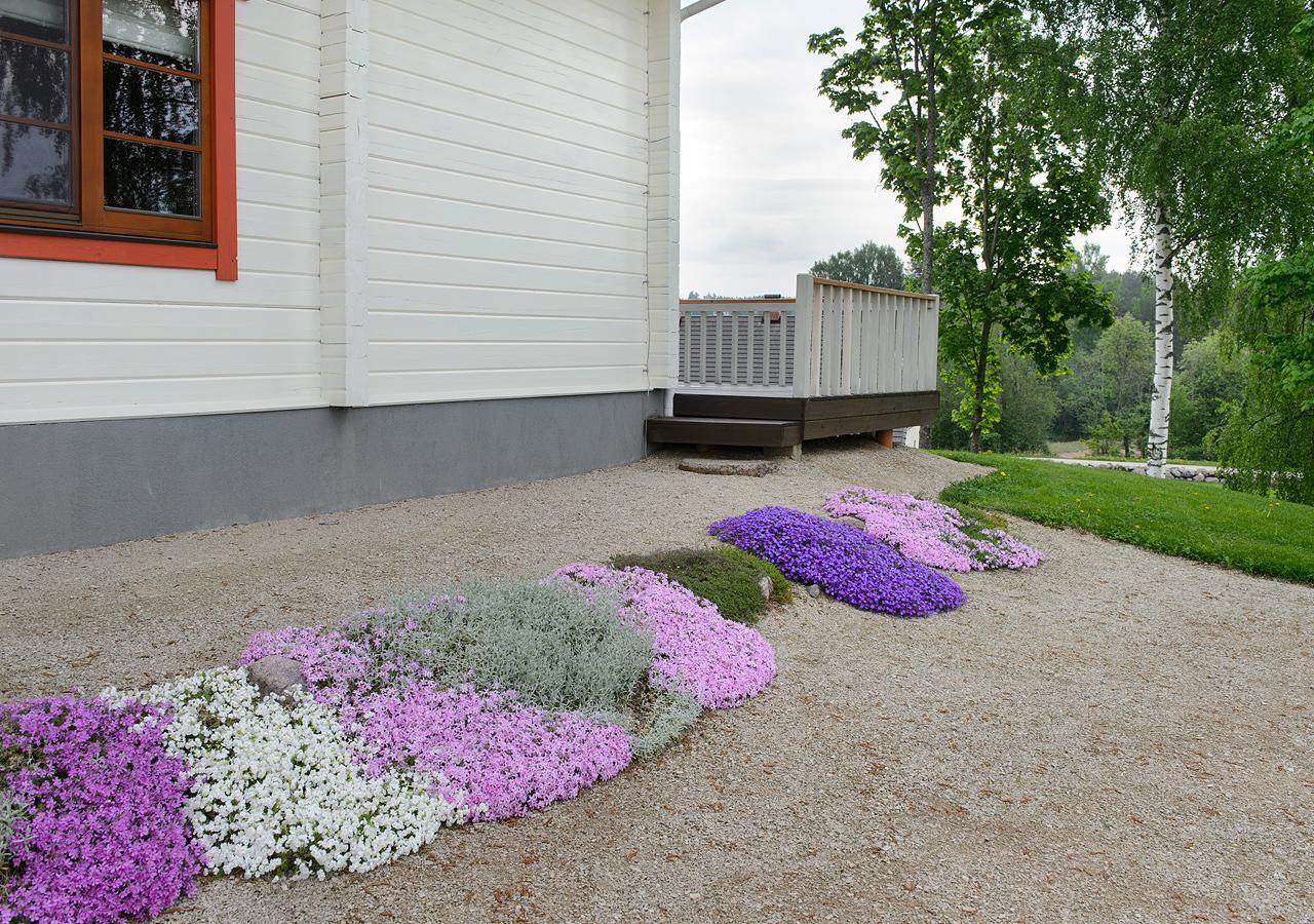 Vasekoja Holiday Center Vahtseliina Екстер'єр фото